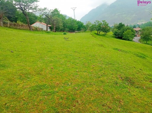 Terreno URBANO en Los Corrales